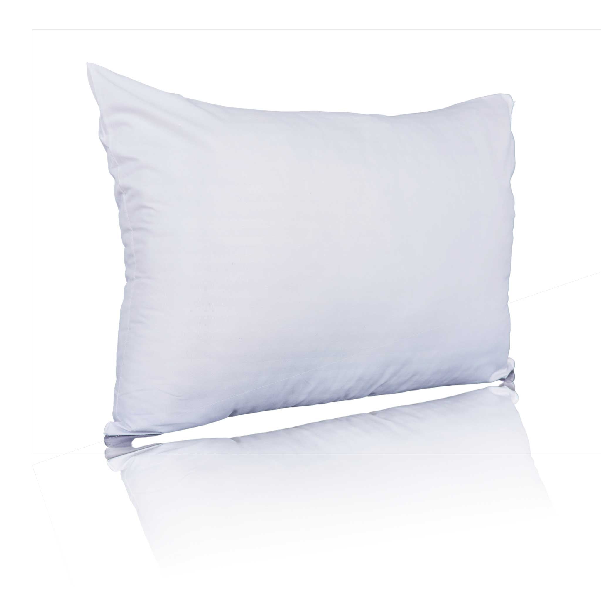 Ashton Eco Pillow