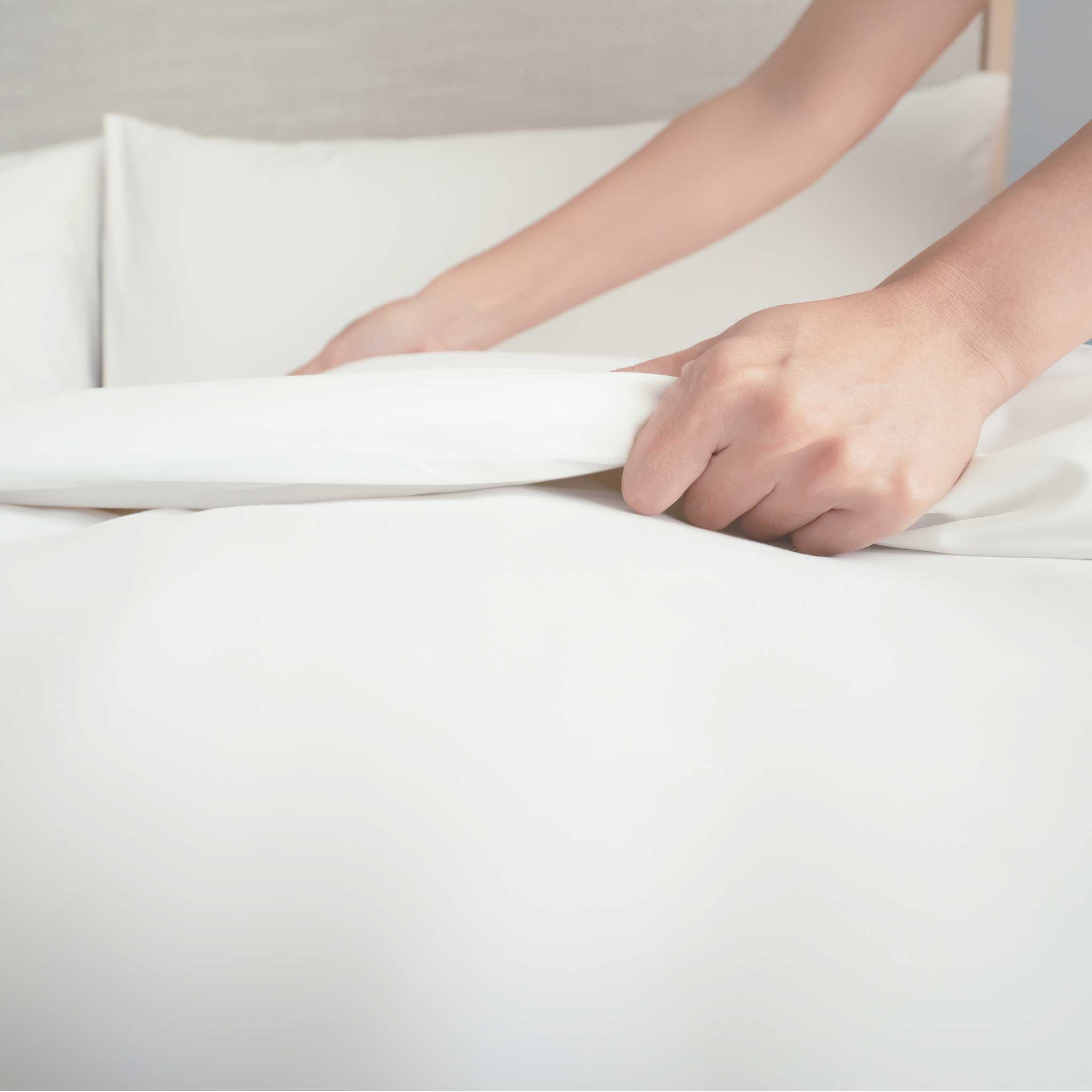 Paris 300 Thread Count Duvet Set with a pair Housewife Pillowcases